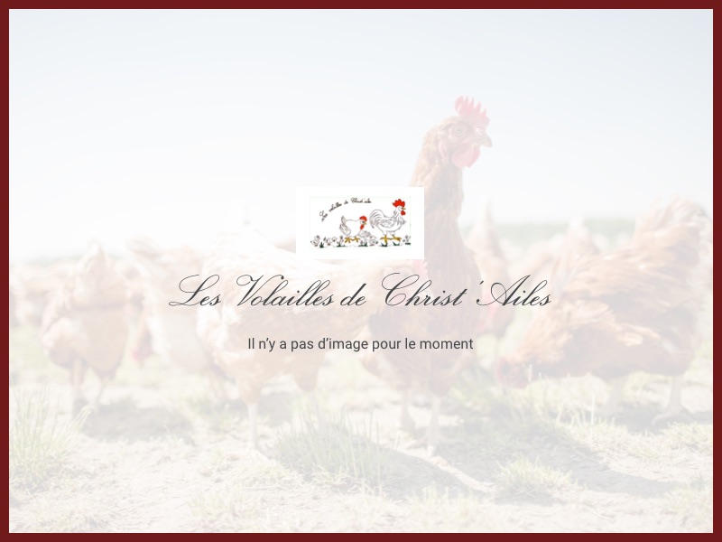 Construction du batiment du magasin